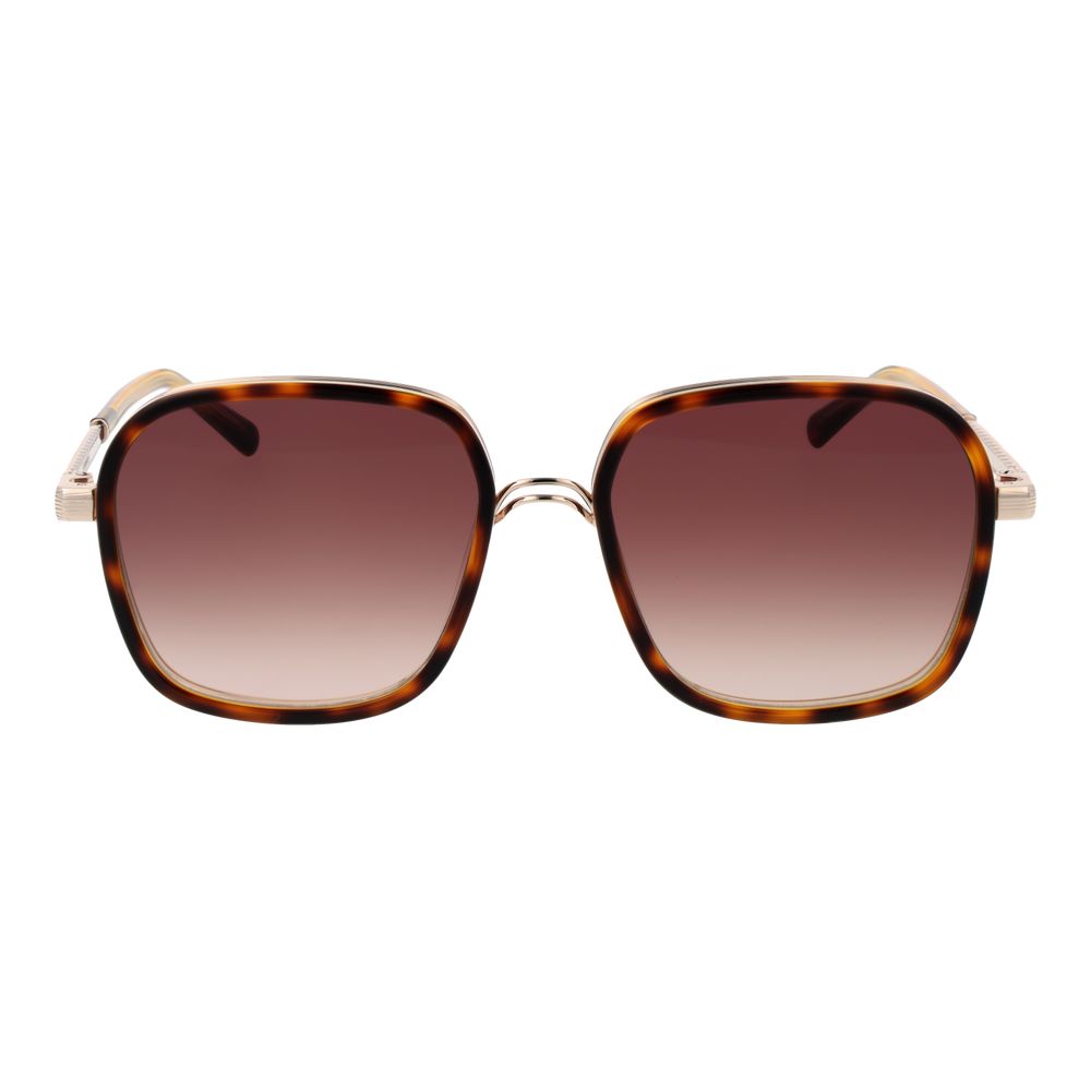 Sandro Brown Women Sunglasses