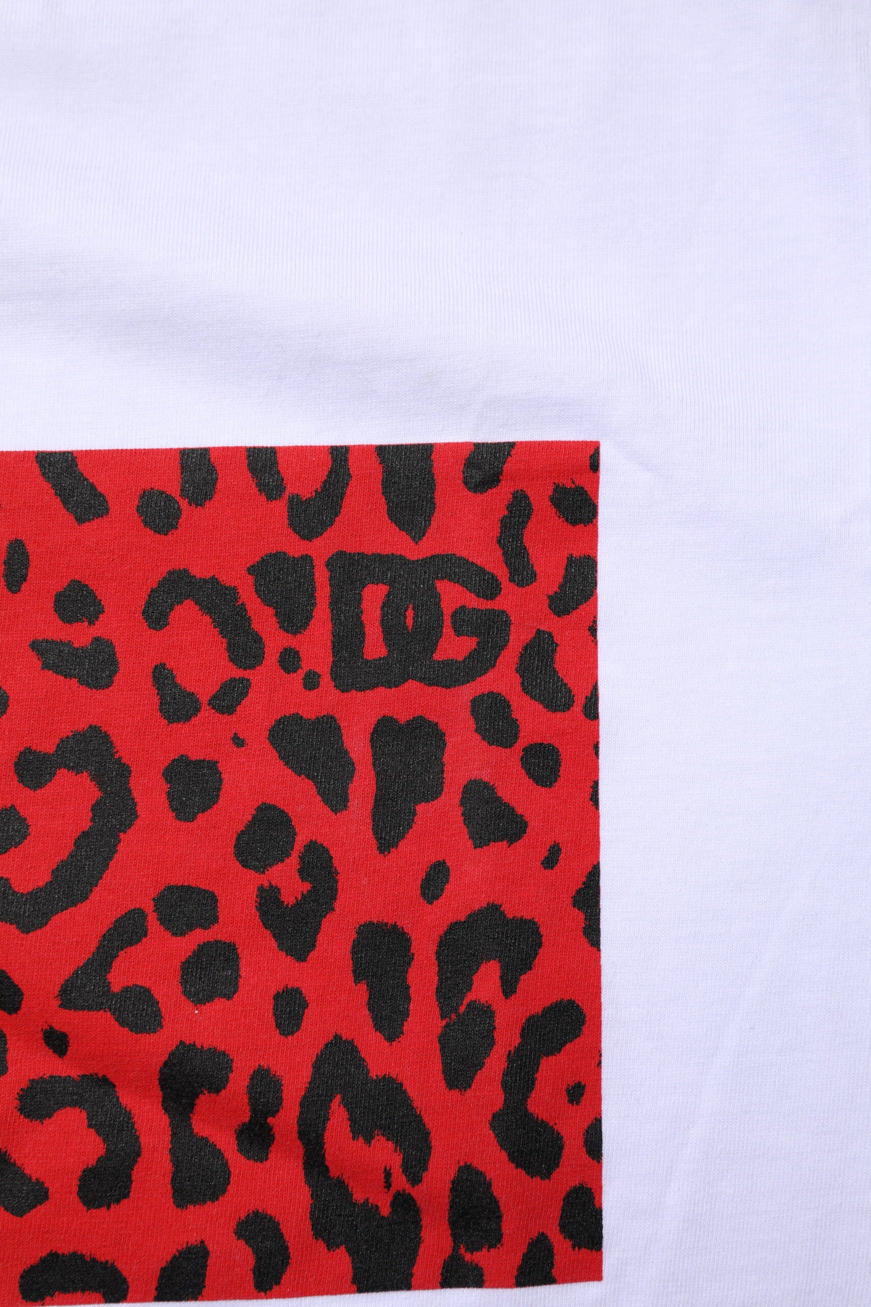 Dolce & Gabbana White Cotton Short Sleeves Crew Neck T-shirt