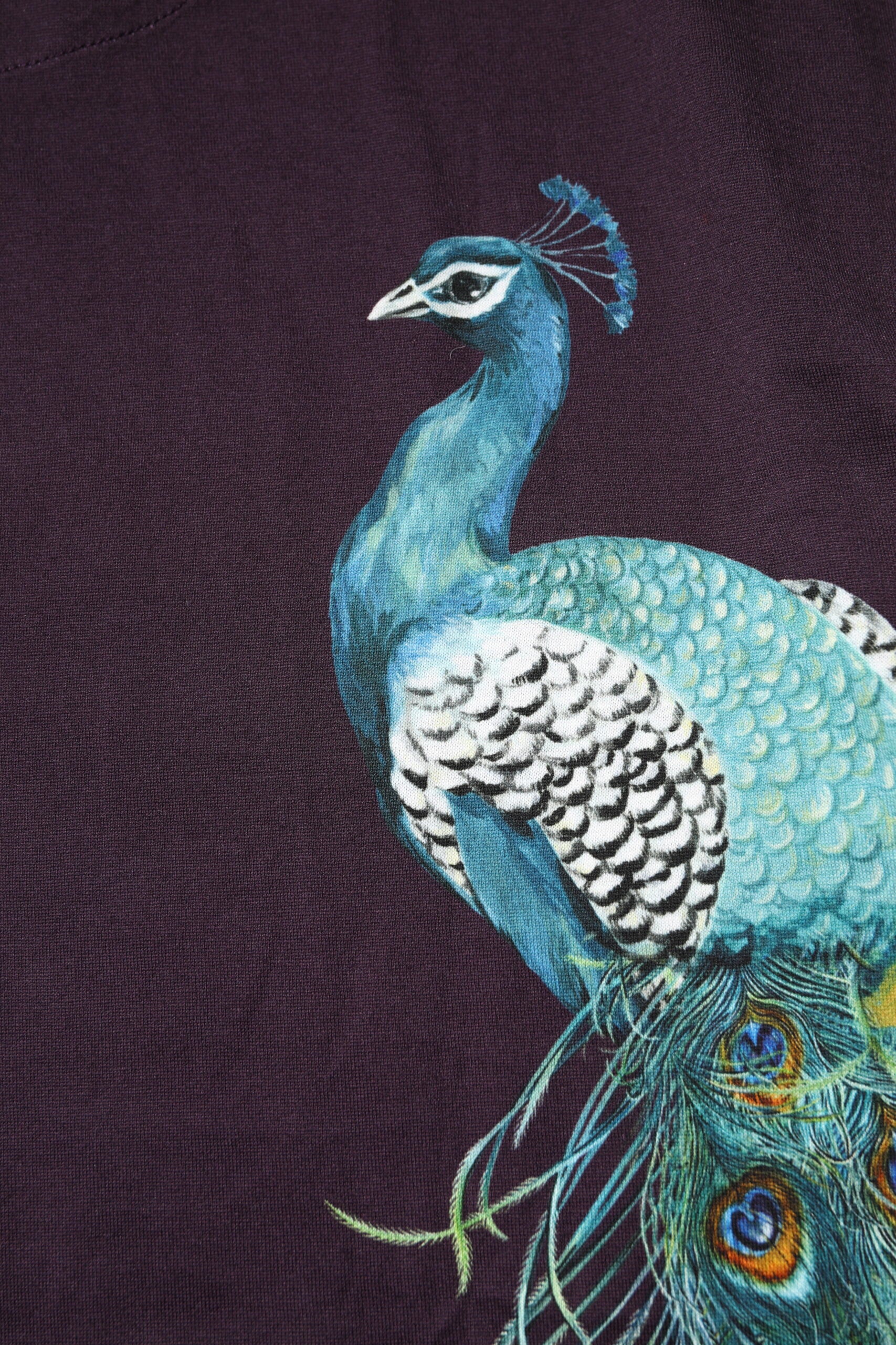 Dolce & Gabbana Black Cotton Peacock Print Round Neck T-shirt