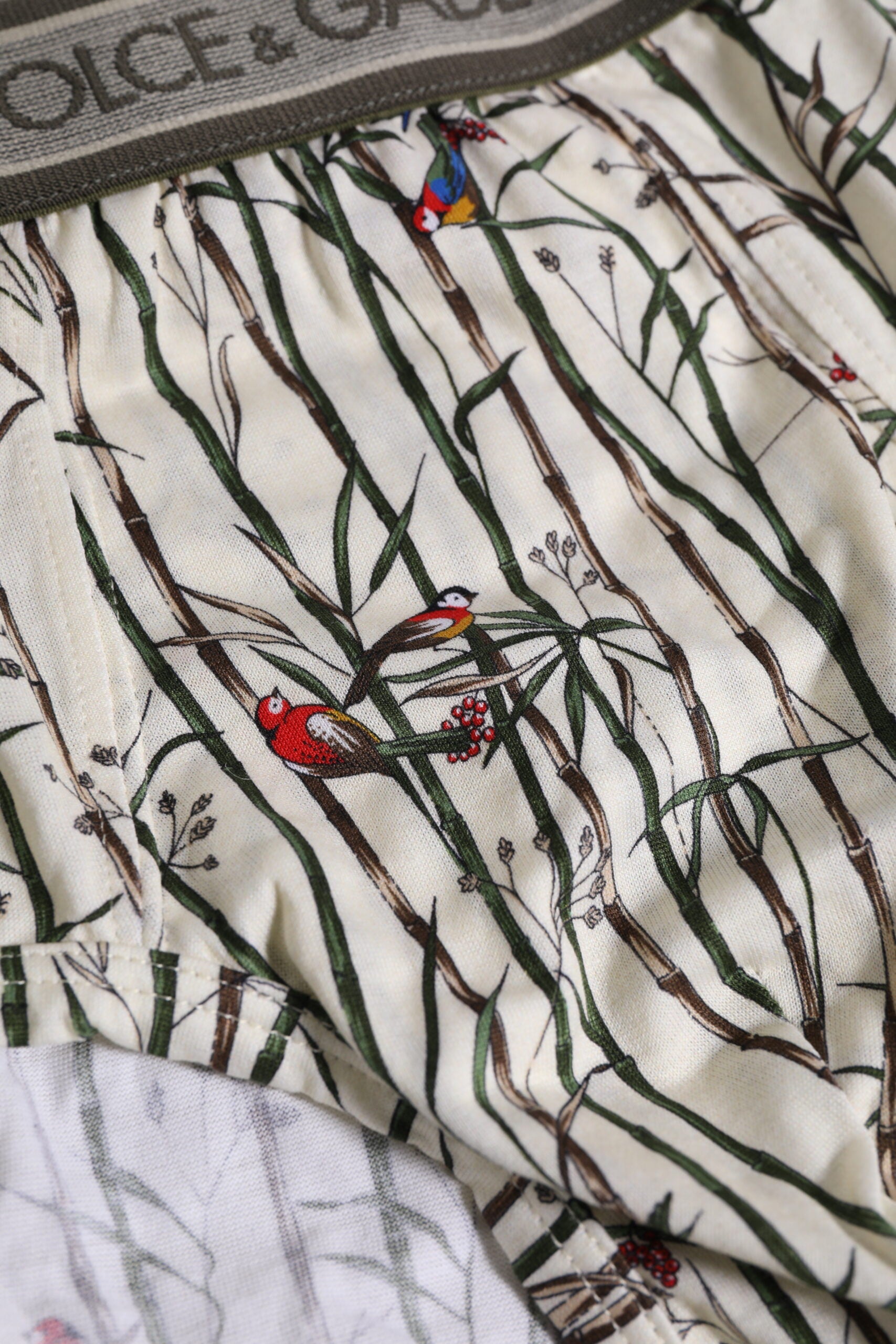 Dolce & Gabbana Ivory Bird Print Cotton Regular Brief Underwear