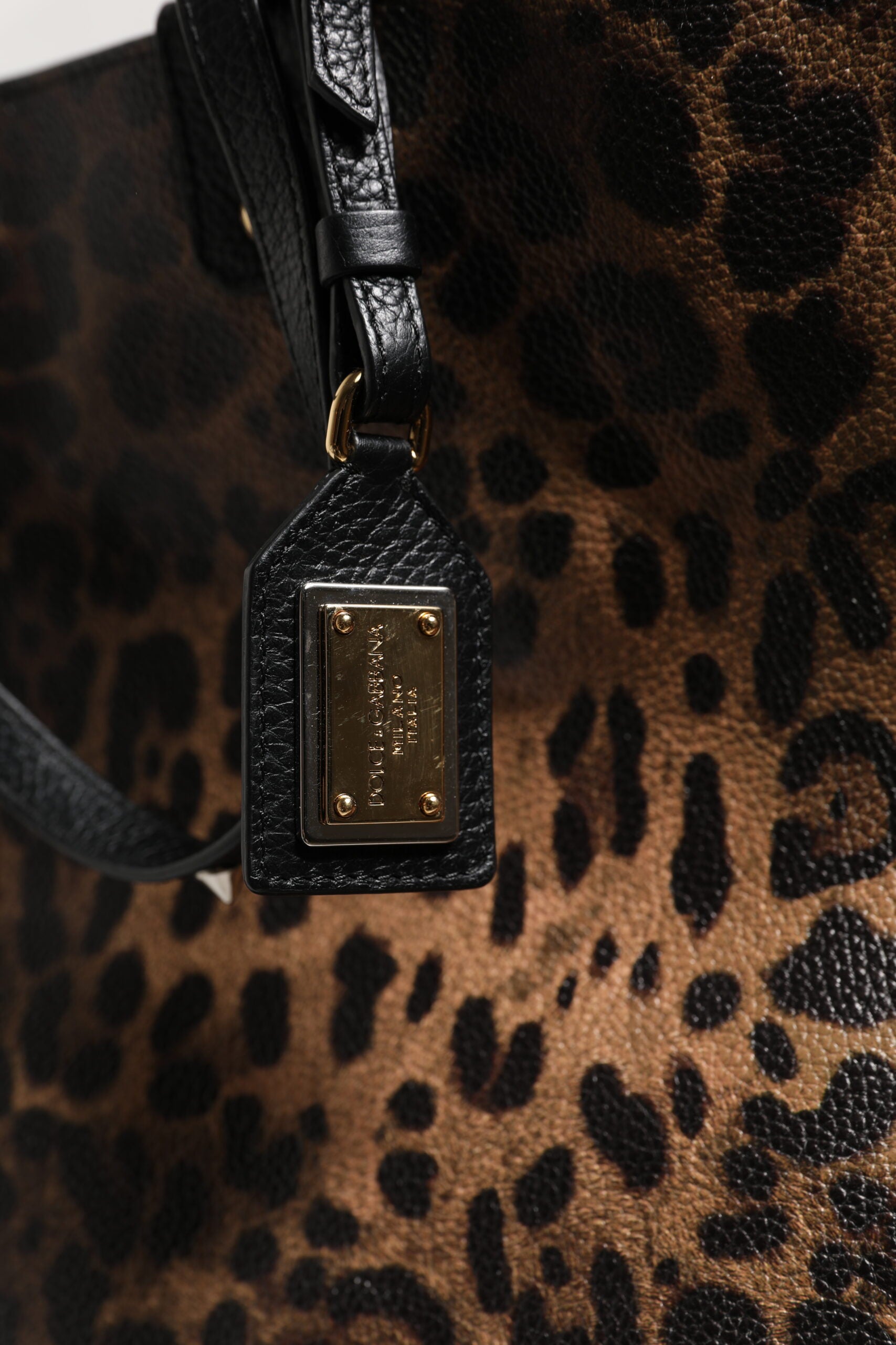 Dolce & Gabbana Brown Leopard BEATRICE Leather Logo Plaque Tote Bag