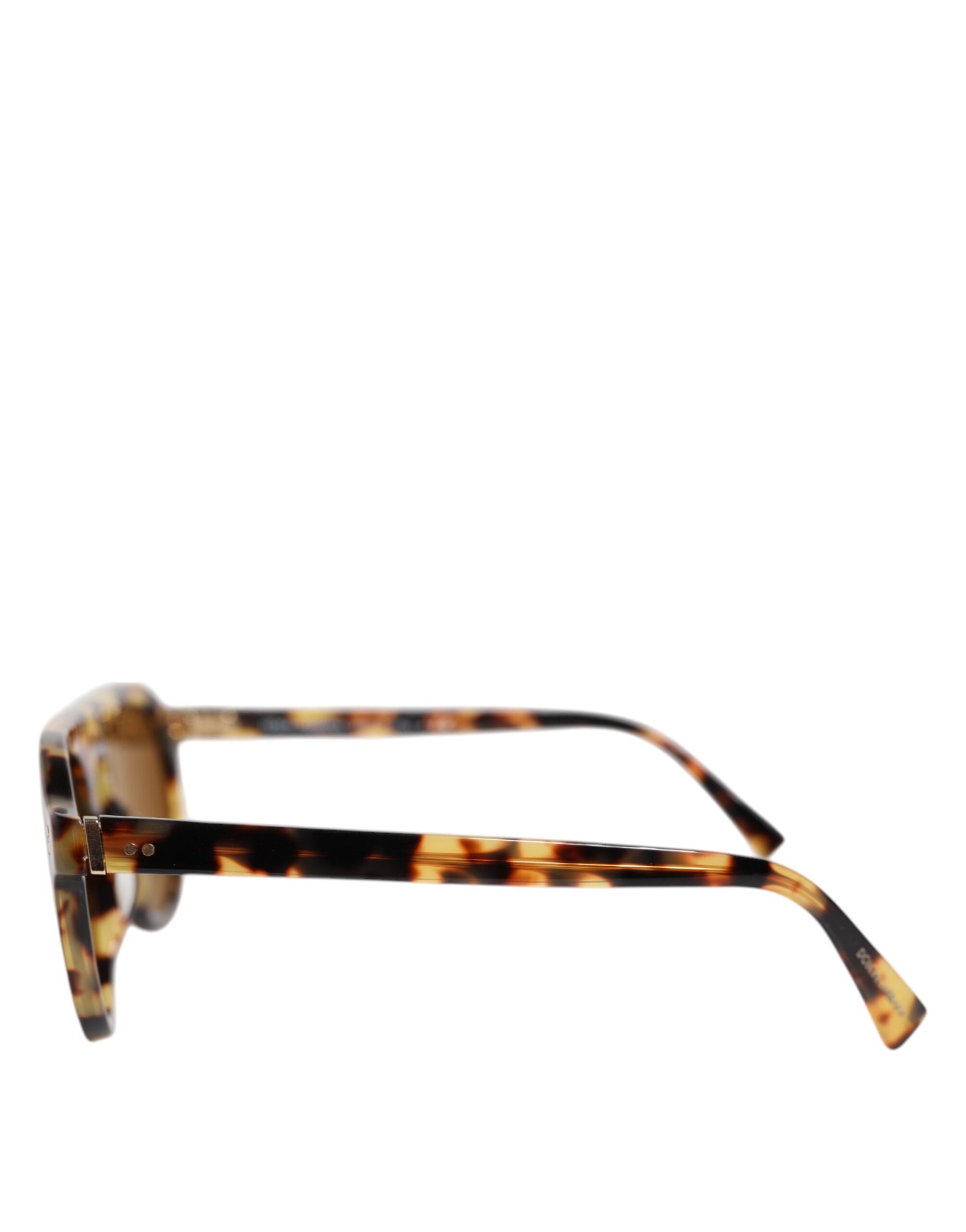 Dolce & Gabbana Brown Acetate Round Leopard Print Eyewear Sunglasses