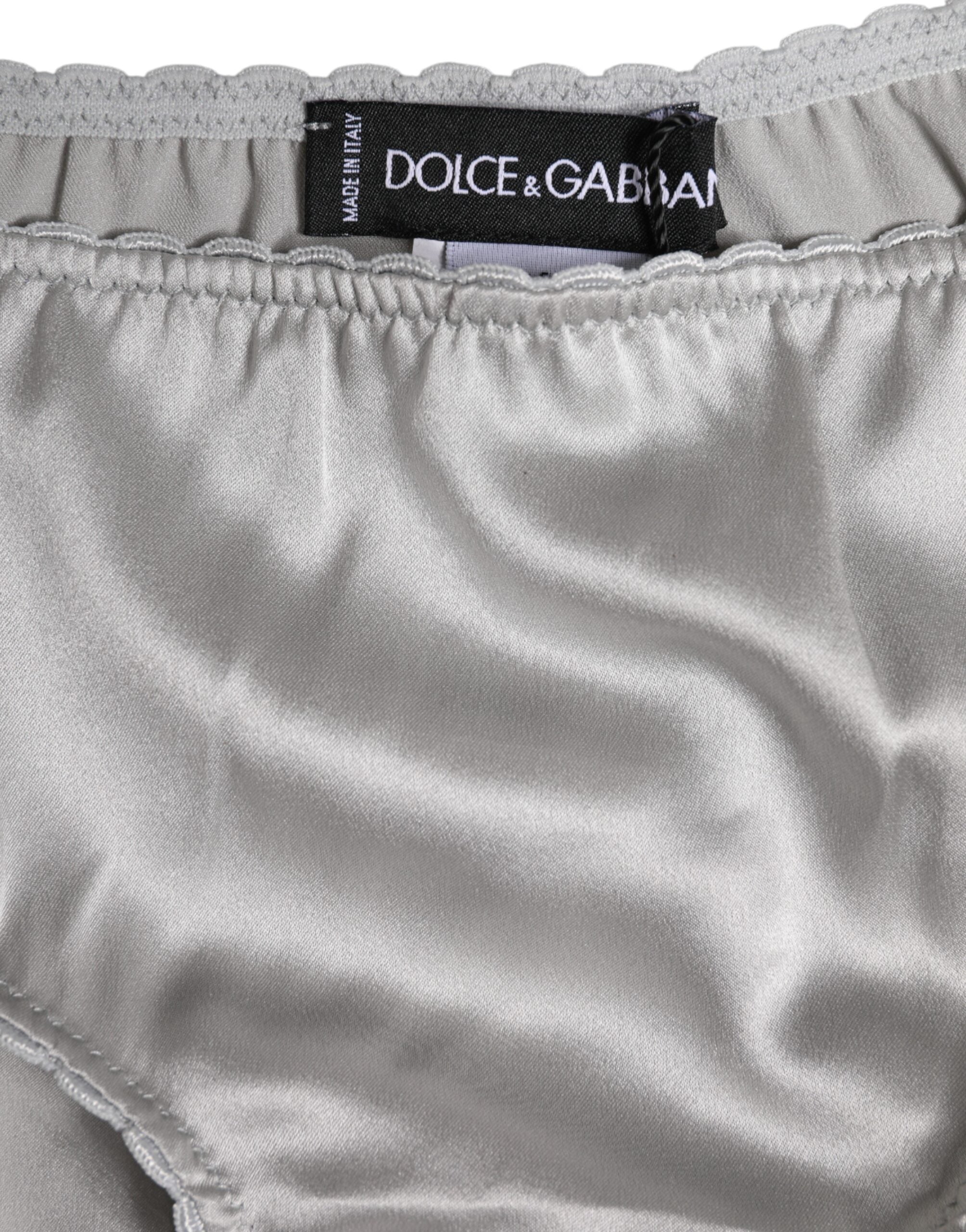 Dolce & Gabbana Gray Silk Stretch Bottom Low Waist Panty Underwear
